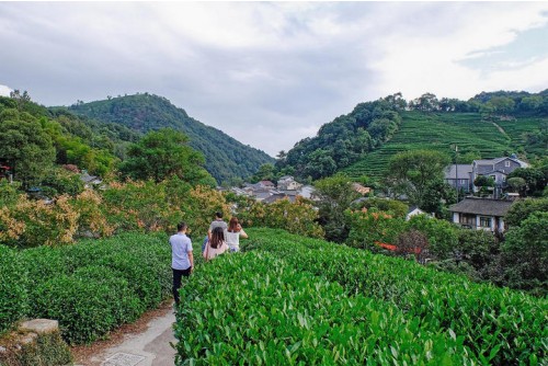 Meijiawu Tea Plantation
