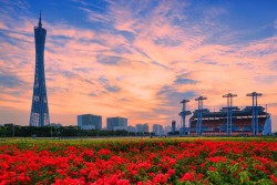 Best of Guangzhou Day Tour
