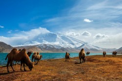 Karakul Lake