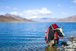 Namtso Lake