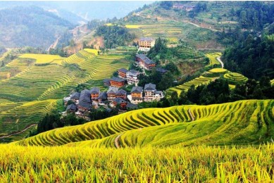 Dragon's Backbone Rice Terraces, Guilin
