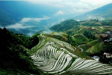 Dragon's Backbone Rice Terraces,