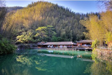 Huangshan Mukeng Bamboo Forest