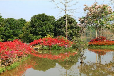 Xishuangbanna Tropical Botanical Garden