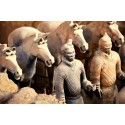 Best of Xian Private Day Trip to Terracotta Warriors, Small Wild Goose Pagoda, Xian Museum, Great Mosque & Muslim Quarter