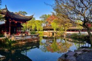 Suzhou Humble Administrator's Garden