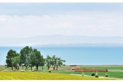 Qinghai Lake