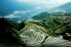 Dragon's Backbone Rice Terraces,