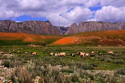 Ganjia Prairie, Xiahe