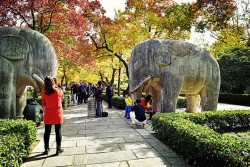 Nanjing Xiaoling Tomb of Ming Dynasty