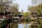 Suzhou Humble Administrator's Garden