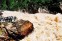 Tiger Leaping Gorge