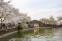 Wuxi Turtle Head Island