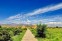 Western Xia Imperial Tombs, Yinchuan