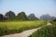 Yingxi Fenglin Corridor